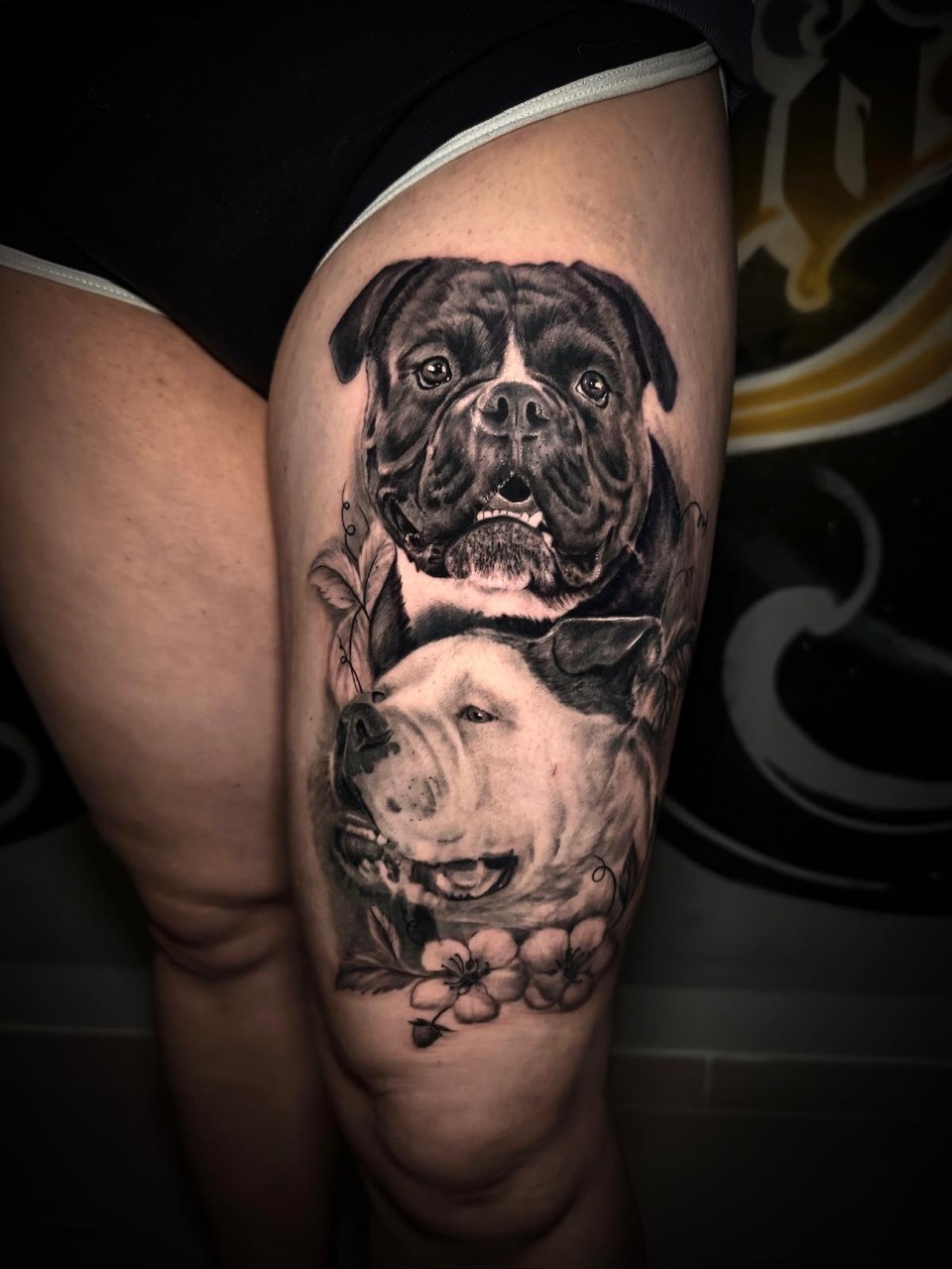 BJT Tierportait zwei Hunde