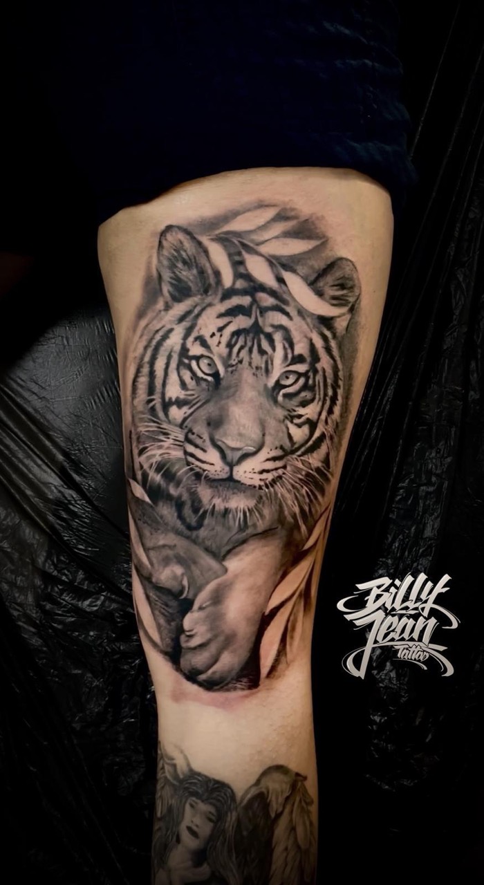 BJT Tierportrait tiger